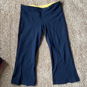 Gaucho navy leggings